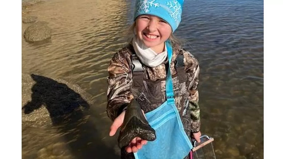9-year-old girl finds megalodon shark tooth on Maryland Beach